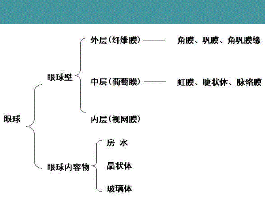 视光部系统培训1眼球结构.ppt_第3页