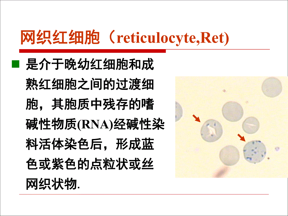 网织红细胞计数.ppt_第3页