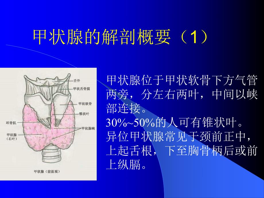 规范甲状腺检查.ppt_第3页