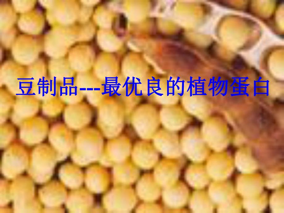 豆制品的营养价值.ppt_第1页