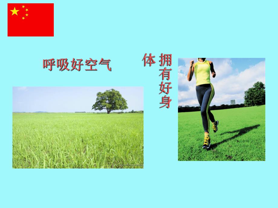 负离子保健1.ppt_第2页