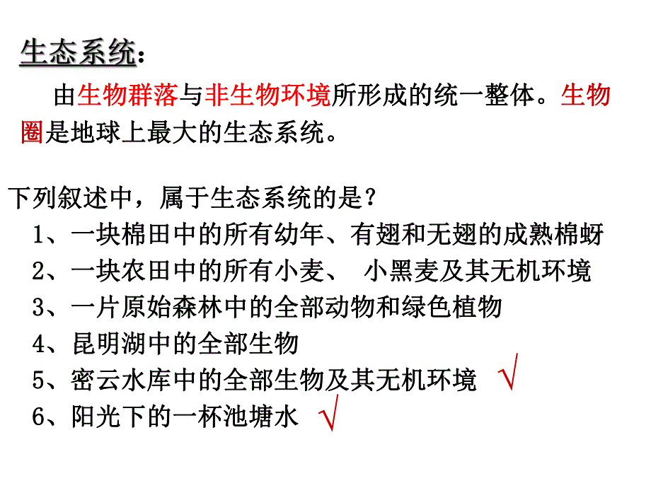 课件生态系统的结构.ppt_第3页