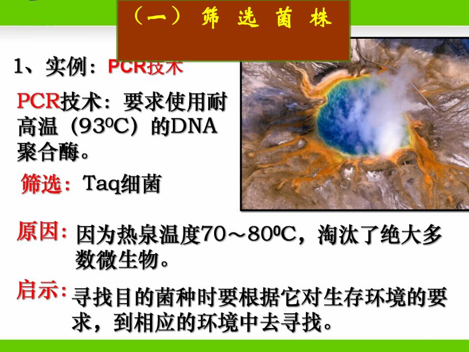 课题2土壤中分解尿素的细菌的分离与计数.ppt_第2页