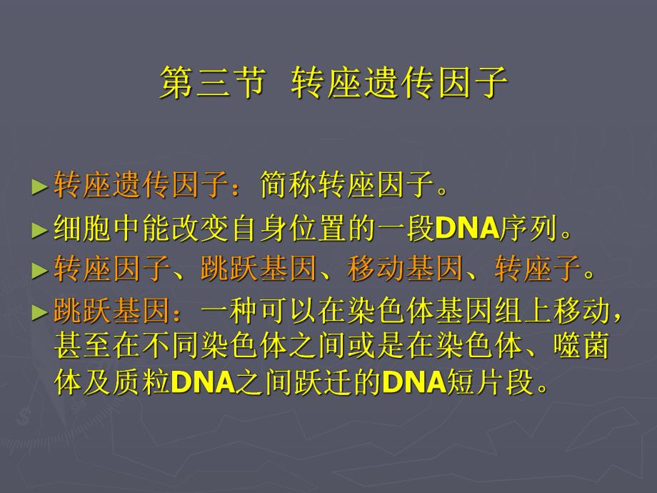 转座因子遗传课件.ppt_第1页