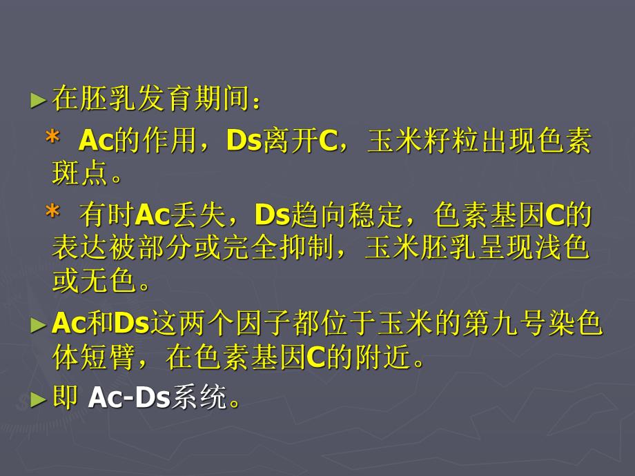 转座因子遗传课件.ppt_第3页