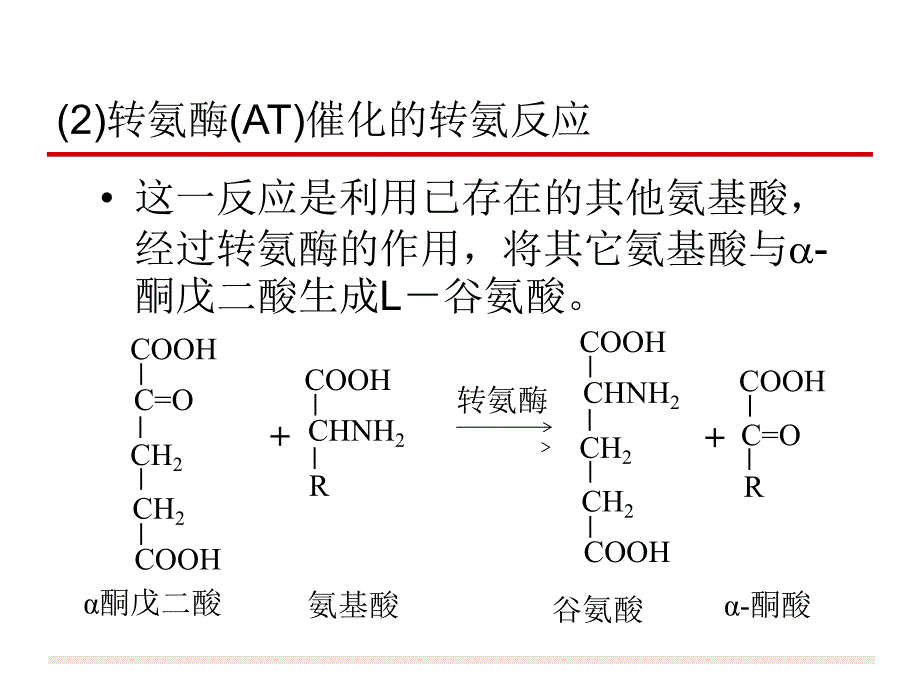 谷氨酸发酵机制.ppt_第3页