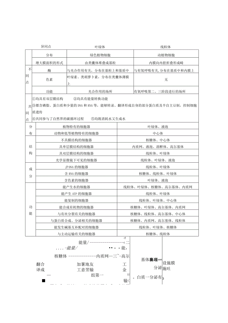 光合作用异同点.docx_第1页