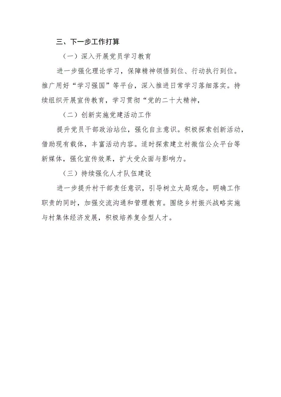 2023某村支部书记抓基层党建工作述职报告.docx_第3页