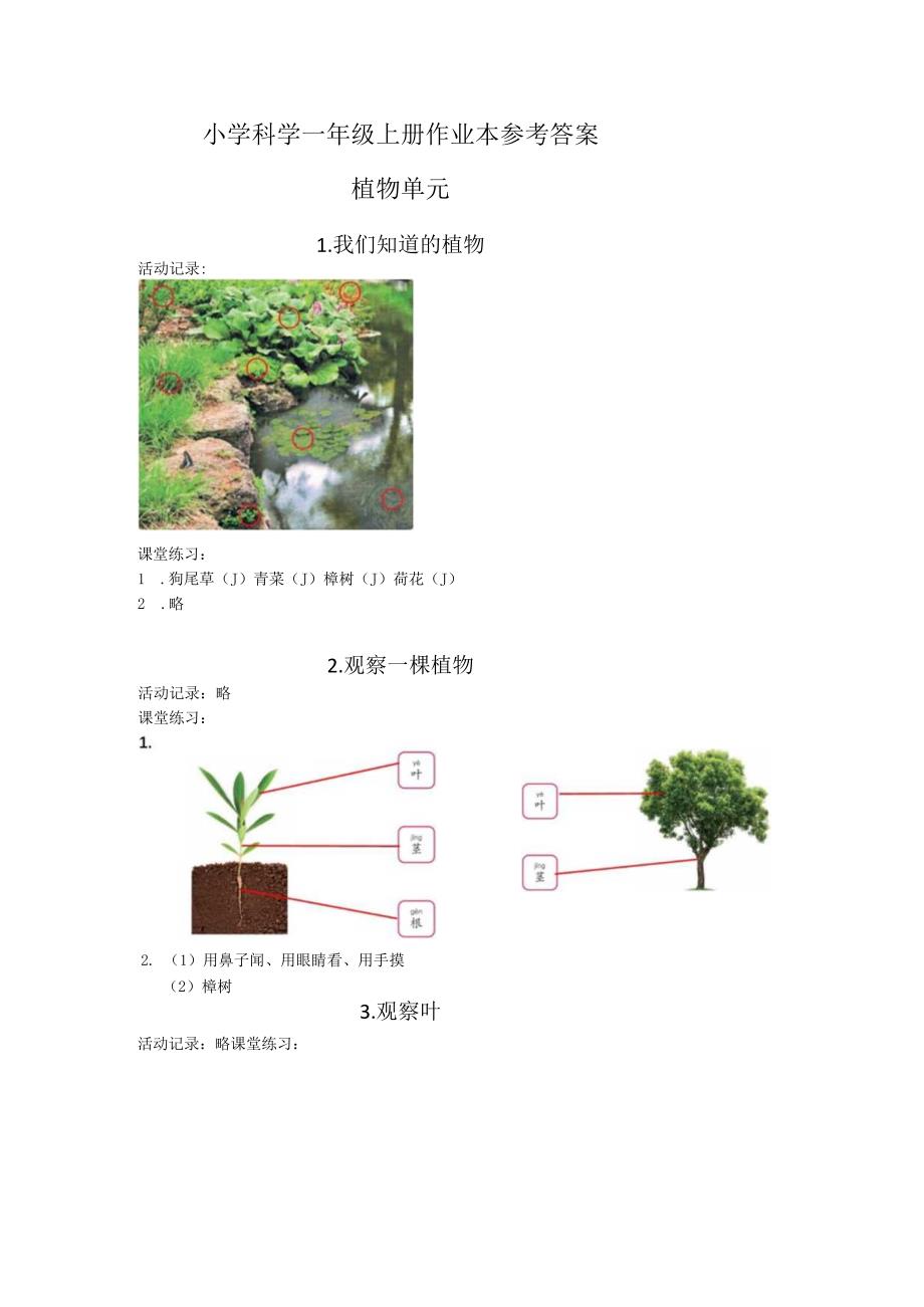 2023教科版一年级上册科学课堂作业本参考答案.docx_第1页