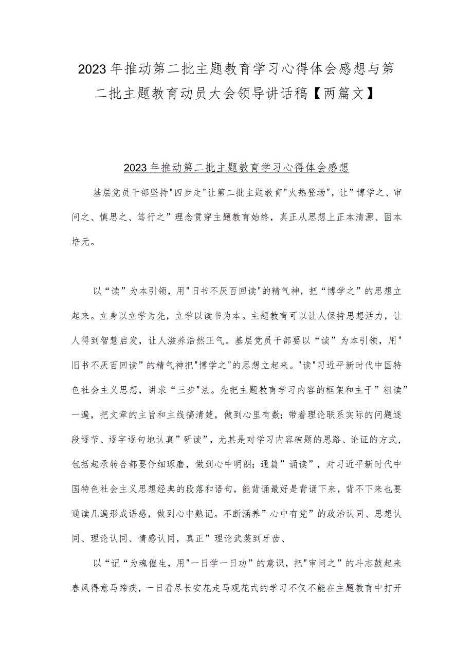 2023年推动第二批主题教育学习心得体会感想与第二批主题教育动员大会领导讲话稿【两篇文】.docx_第1页