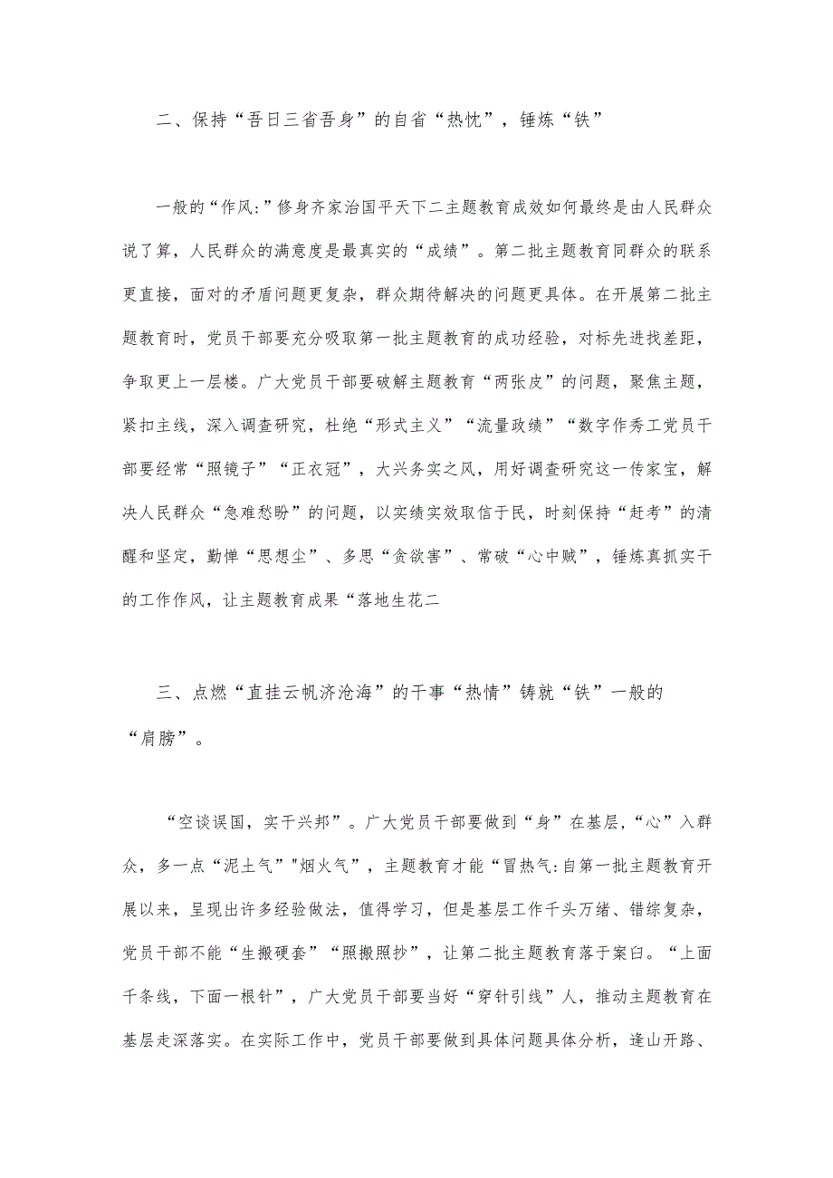 2023年第二批主题教育专题研讨发言材料与全面开展第二批主题教育的实施方案【2篇文】.docx_第2页