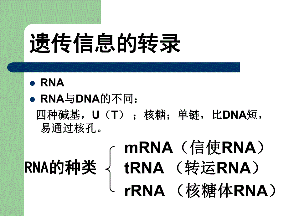 转录和翻译1.ppt_第2页