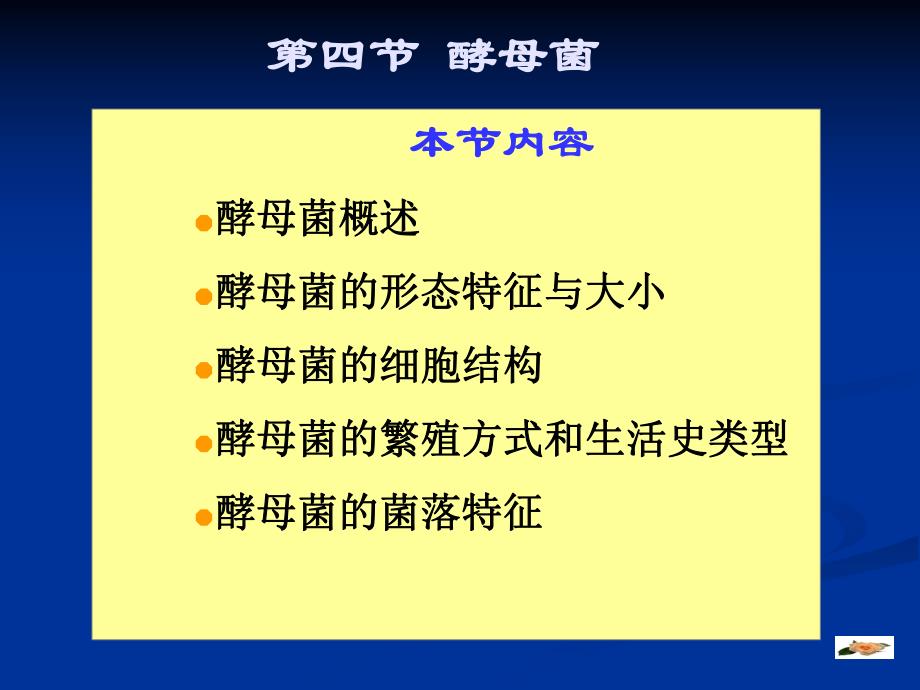 酵母演示文稿1.ppt_第1页