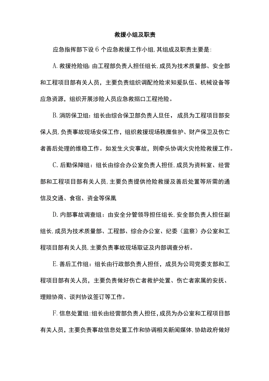 救援小组及职责.docx_第1页