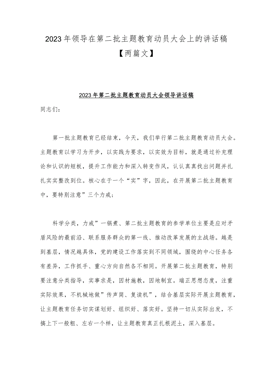 2023年领导在第二批主题教育动员大会上的讲话稿【两篇文】.docx_第1页