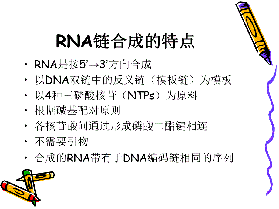 转录的基本过程.ppt_第2页