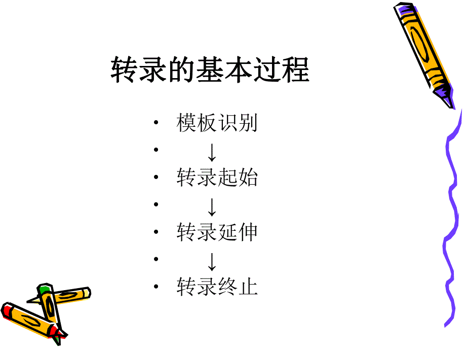 转录的基本过程.ppt_第3页