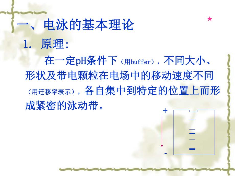 酶的提取与分离纯化280.ppt_第2页