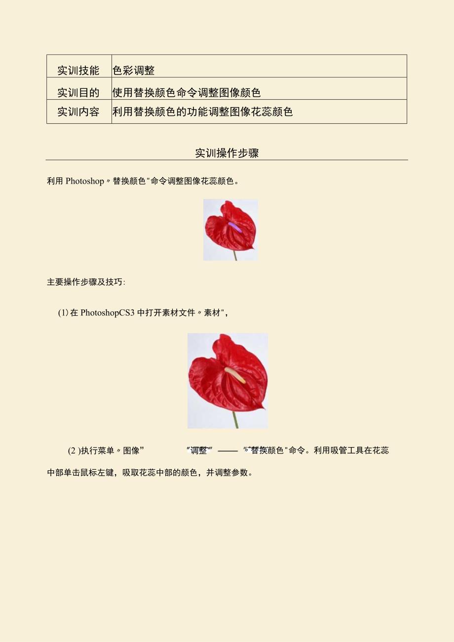 《图形图像处理》实训指导——色彩调整——替换颜色.docx_第2页