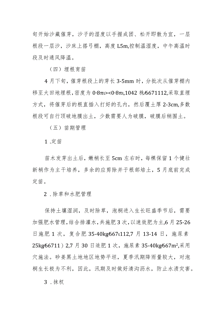 砂姜黑土地泡桐苗木培育技术.docx_第2页