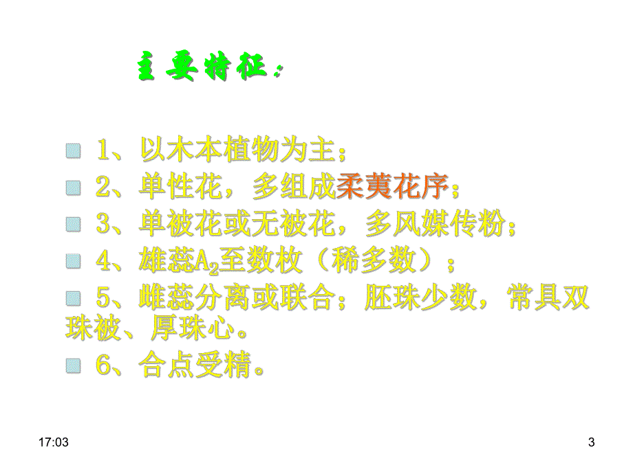 金缕梅亚纲2.ppt_第3页