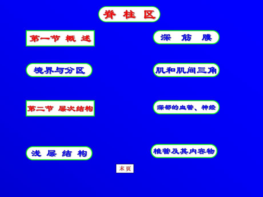 英文人体系统解剖.ppt_第2页