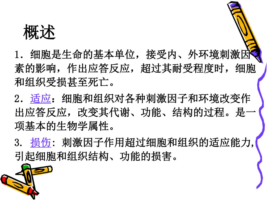 适应损伤和修复.ppt_第2页