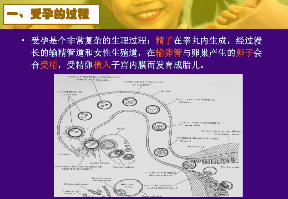 避孕方法的应用及进展.ppt_第2页