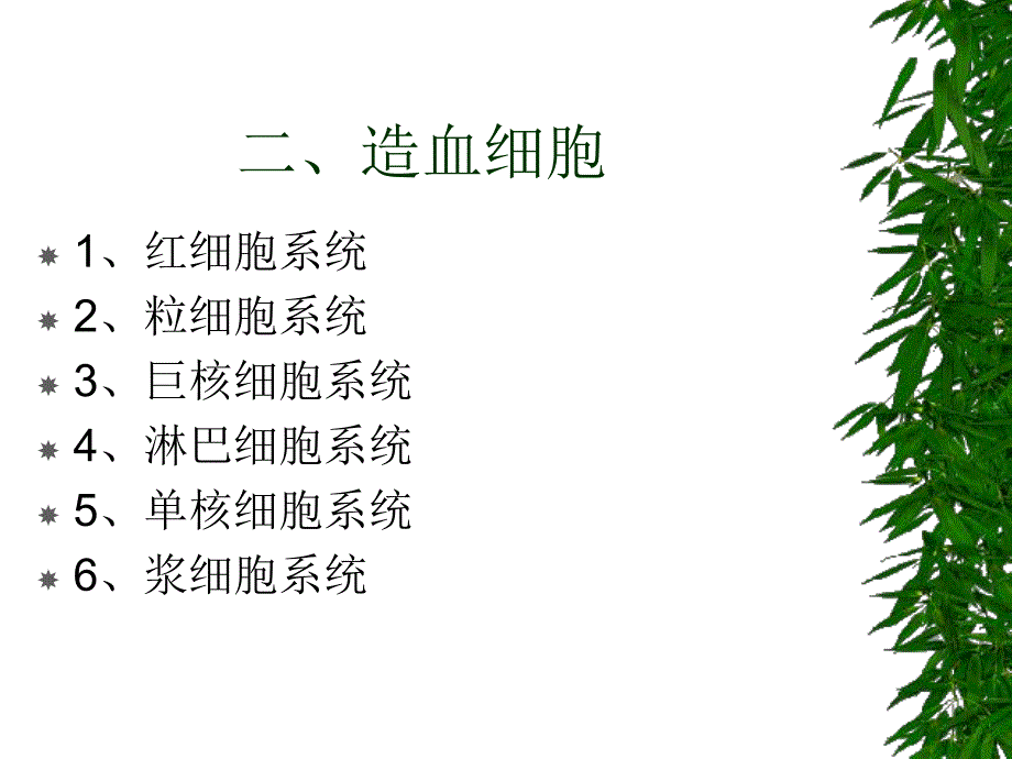 造血检验的基础理论.ppt_第2页