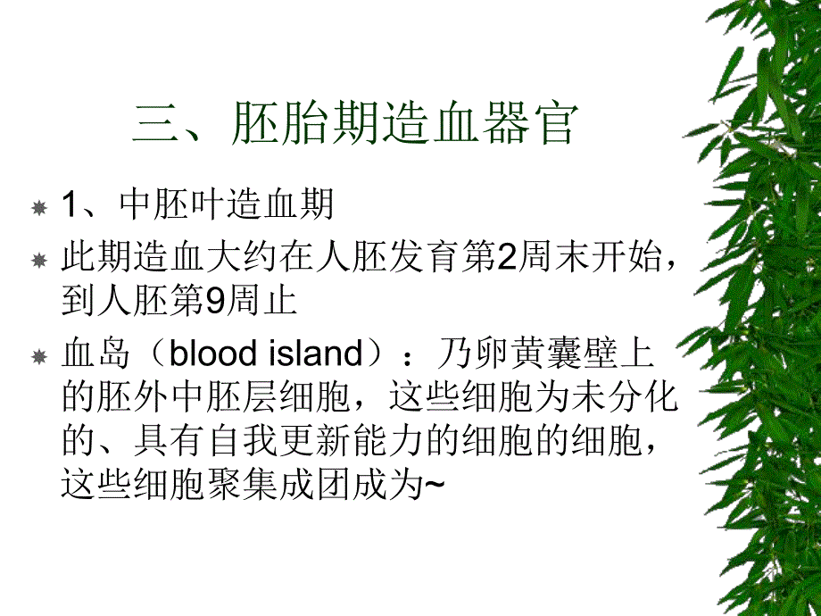 造血检验的基础理论.ppt_第3页