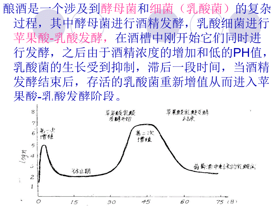 苹果酸乳酸发酵.ppt_第3页