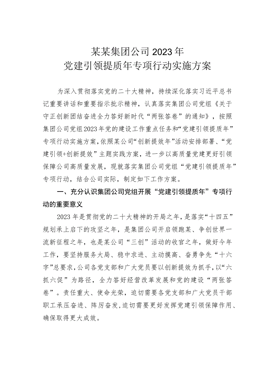 某某集团公司2023年党建引领提质年专项行动实施方案.docx_第1页