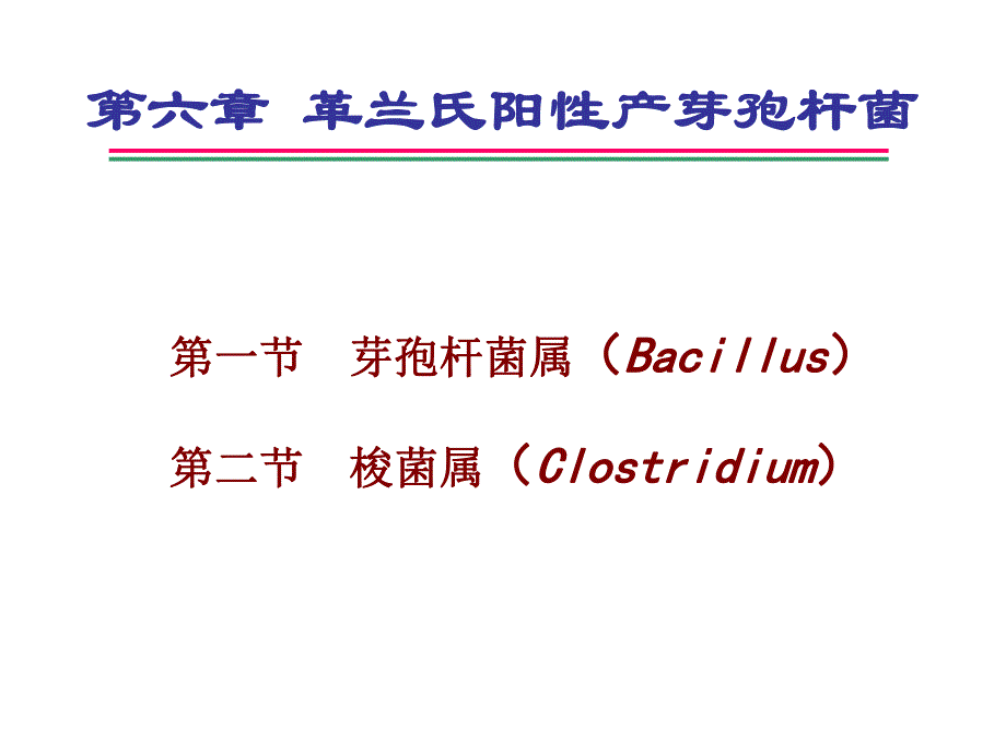 革兰氏阳性产芽孢杆菌.ppt_第1页