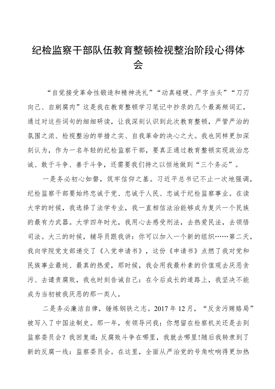 纪检监察干部队伍教育整顿检视整治阶段心得体会三篇.docx_第1页