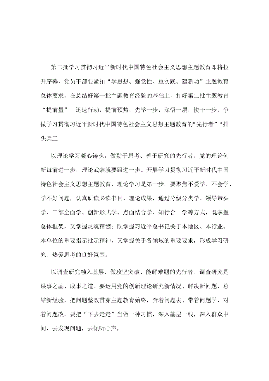 第二批主题教育发言稿讲话稿5篇优选.docx_第1页