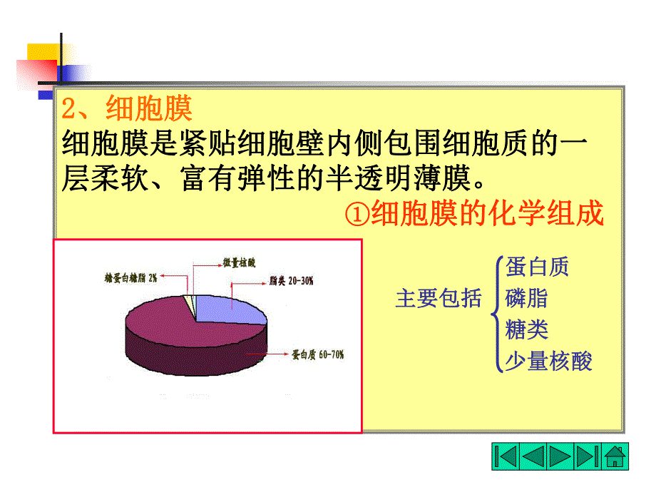 青霉素的作用.ppt_第2页