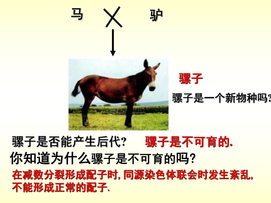 隔离和物种的形成.ppt_第2页