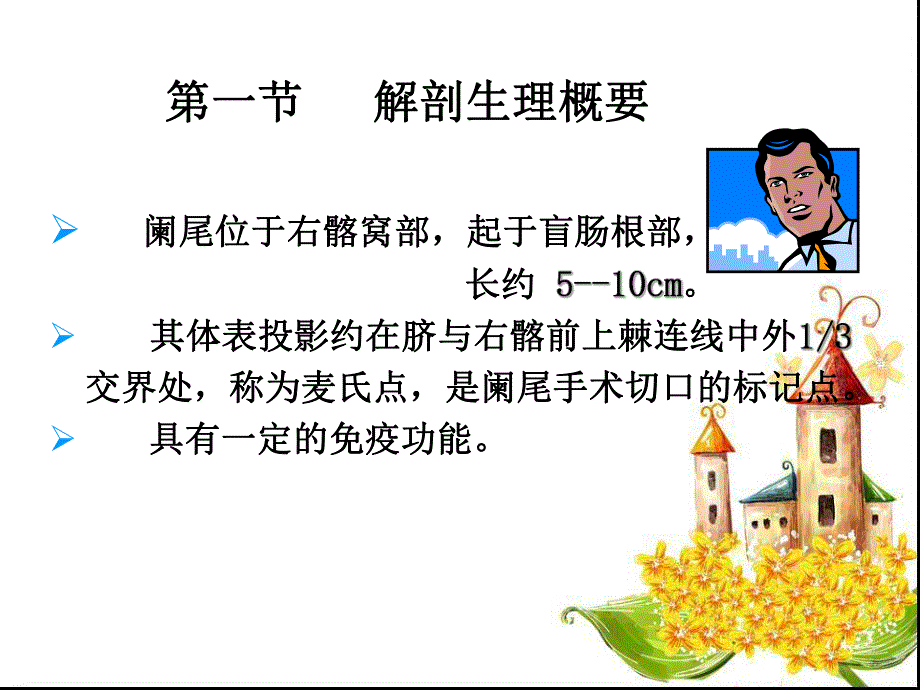 阑尾炎病人的护理外科护理学课件.ppt_第2页