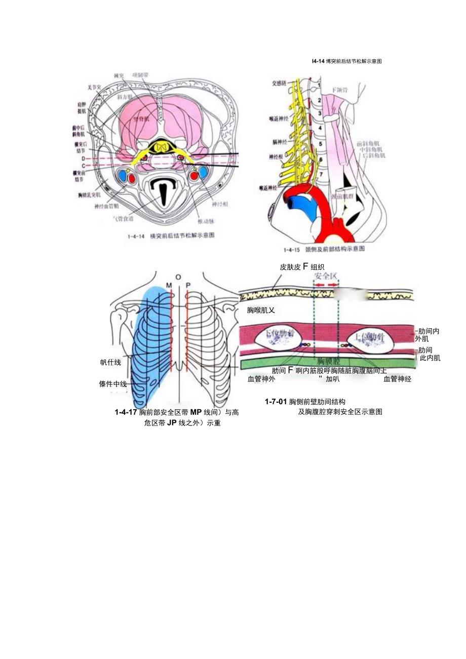 针刀医学《针刀解剖示意图》.docx_第3页