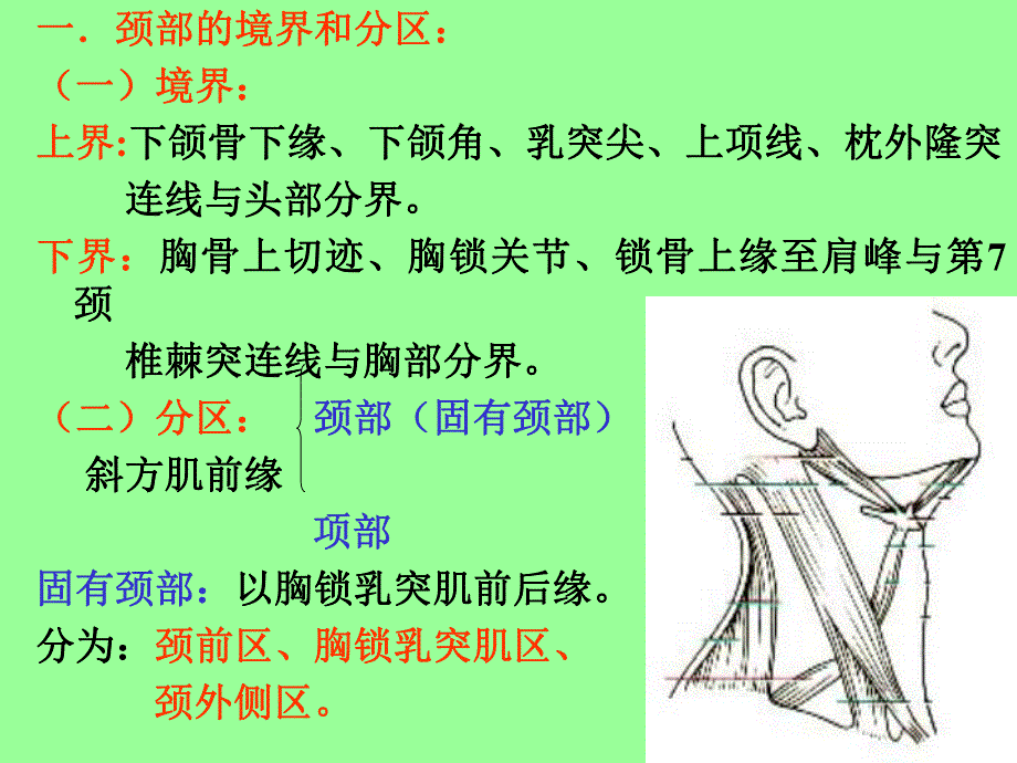 颈部局解应用解剖.ppt_第2页