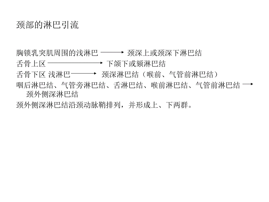 颈淋巴与器官.ppt_第2页