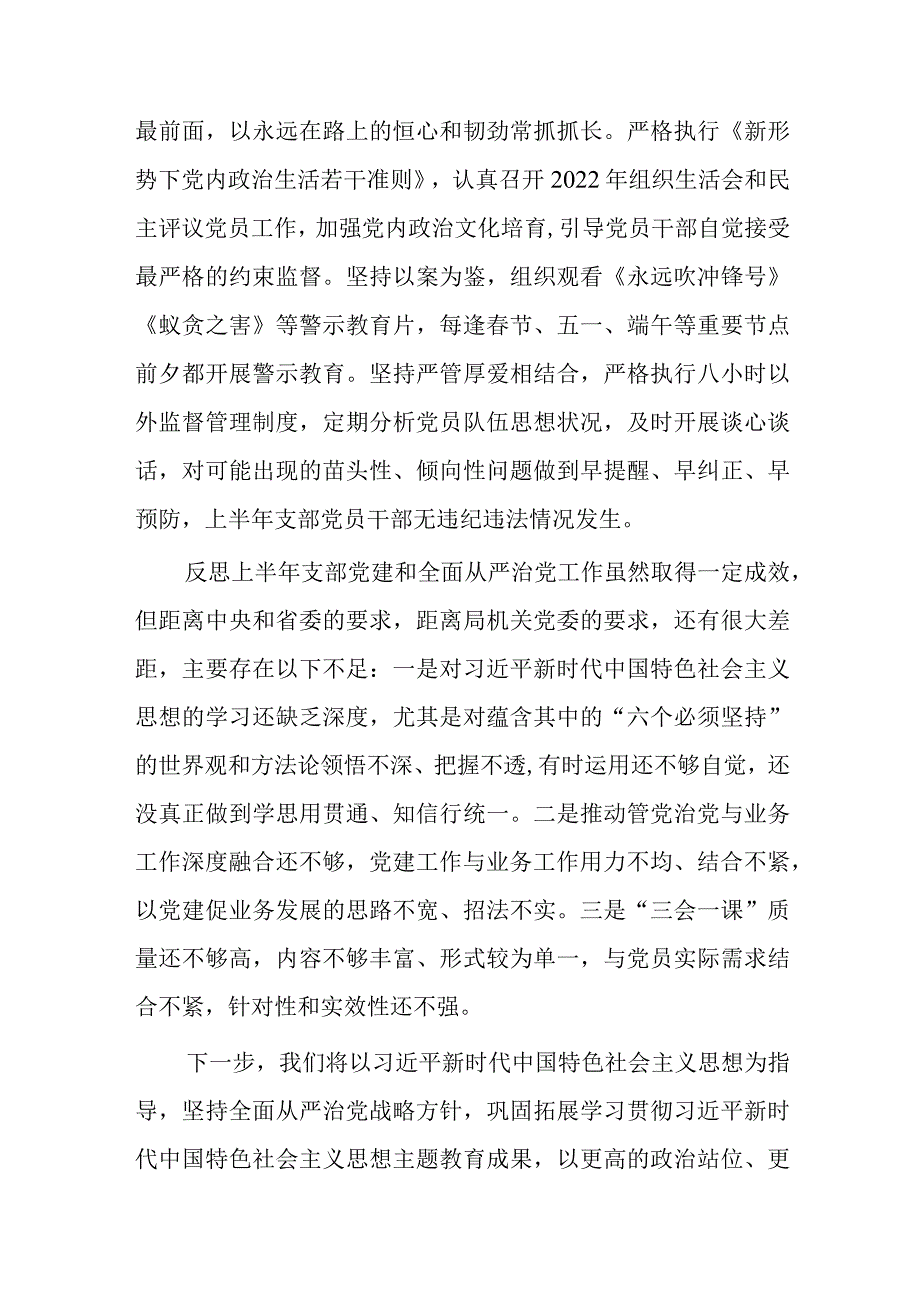 上半年党支部党建工作及落实全面从严治党主体责任情况.docx_第3页