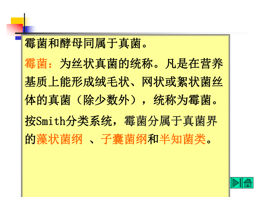 霉菌的形态和结构.ppt_第2页