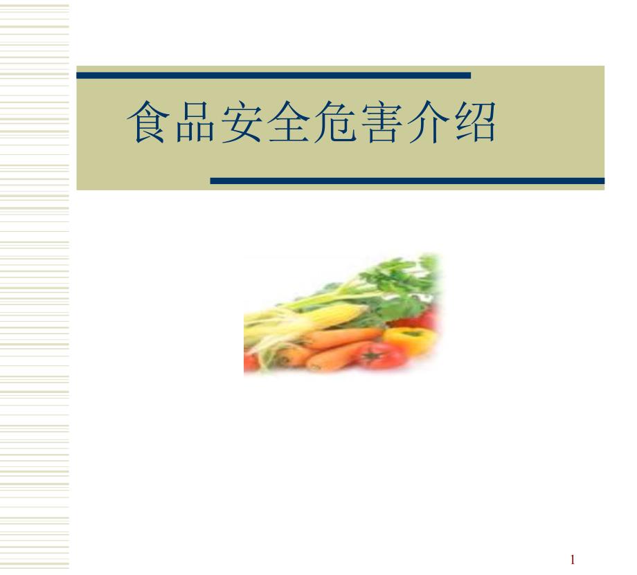 食品安全危害综述.ppt_第1页