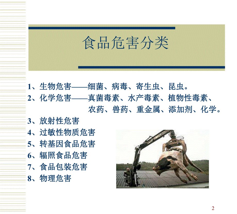 食品安全危害综述.ppt_第2页