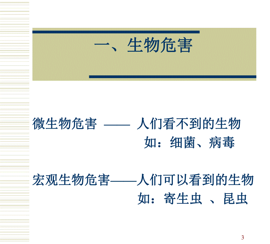 食品安全危害综述.ppt_第3页