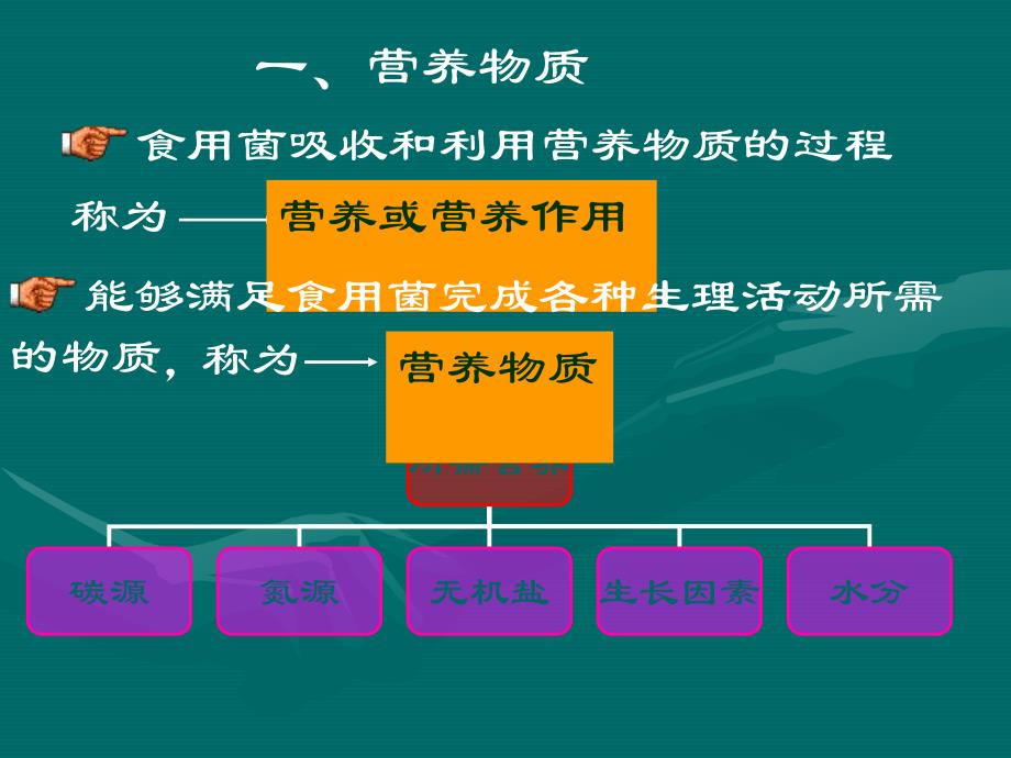 食用菌的营养与环境.ppt_第3页