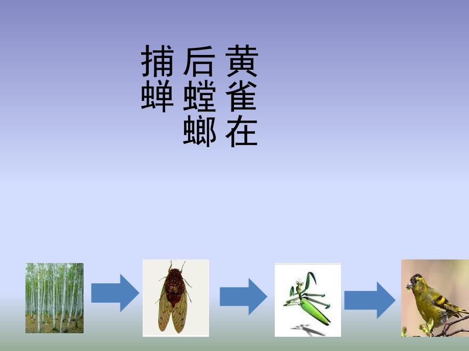 食物链和食物网能量流动.ppt_第2页