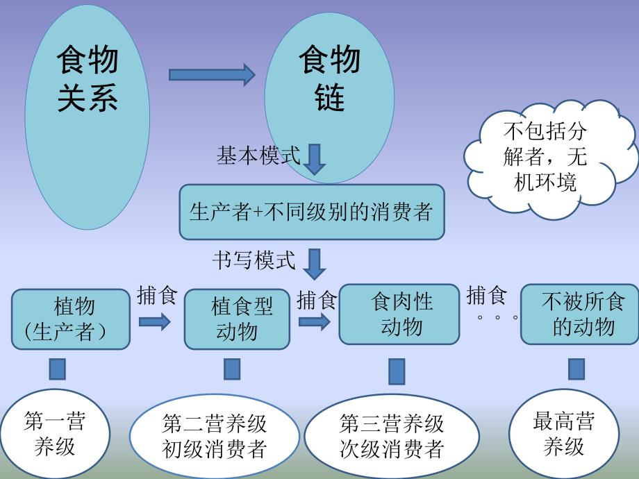 食物链和食物网能量流动.ppt_第3页