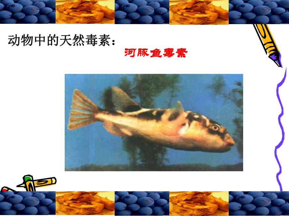 食品中有害有毒物质.ppt_第3页